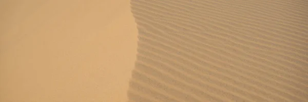 Desert - global uppvärmning. Stora sanddyner i öknen. Fint ställe för fotografer och resenärer. Vackra strukturer av sandiga barkhaner BANNER, LONG FORMAT — Stockfoto