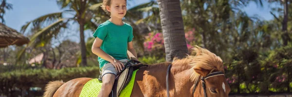 Smiling, young boy ride a pony horse. Horseback riding in a tropical garden BANNER, LONG FORMAT — Stock Photo, Image
