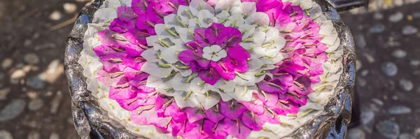 물이 담긴 용기 안에 들어 있는 꽃의 모양 , 보너 개념, 긴 포마 — 스톡 사진