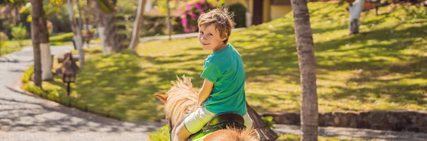 Souriant, jeune garçon monté à cheval de poney. Équitation dans un jardin tropical BANNER, LONG FORMAT — Photo