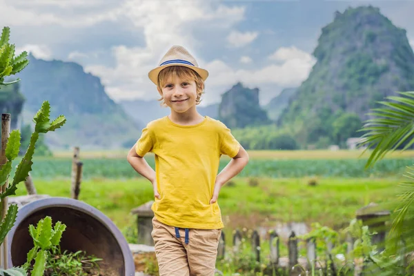 Boy tourist on top pagoda of Hang Mua temple, rice fields, Ninh Binh, Vietnam. Vietnam reopens borders after quarantine Coronovirus COVID 19 — Stock Photo, Image
