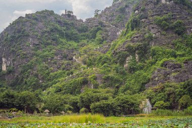 Hang Mua tapınağının en iyi tapınağı, pirinç tarlaları, Ninh Binh, Vietnam. Vietnam, Coronovirus COVID 19 karantinasından sonra sınırları yeniden açıyor.