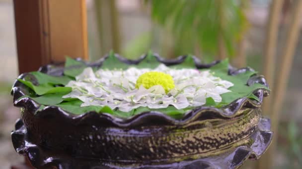 Decorazione su una superficie dell'acqua fatta di fiori freschi. Decorazione di una spa tropicale — Video Stock