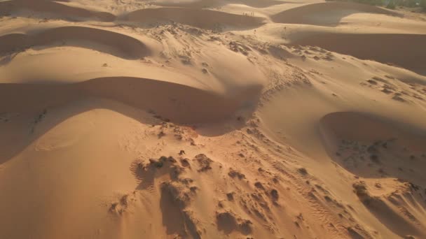 Vue aérienne du haut vers le bas sur les dunes rouges du désert. Concept de désertification. Changement climatique — Video