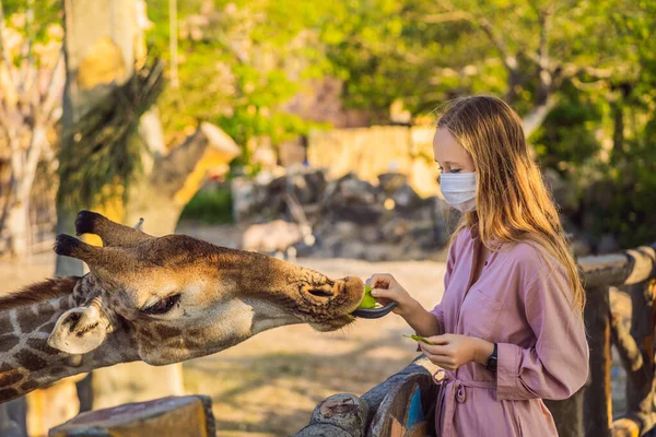 Hayvanat bahçesinde zürafayı seyreden ve besleyen mutlu genç bir kadın COVID-19 Coronavirus sırasında maske takıyor. Mutlu genç bir kadın sıcak yaz gününde hayvanlarla safari parkında eğleniyor. — Stok fotoğraf