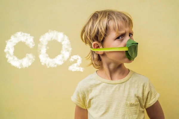 Barnet gjorde sig en ansiktsmask av bladen för att skydda sig mot luftföroreningar. Koldioxidbokstäver gjorda av moln. Himmel med CO2-förorening, smog. Luftrening för barn koncept. Träd — Stockfoto