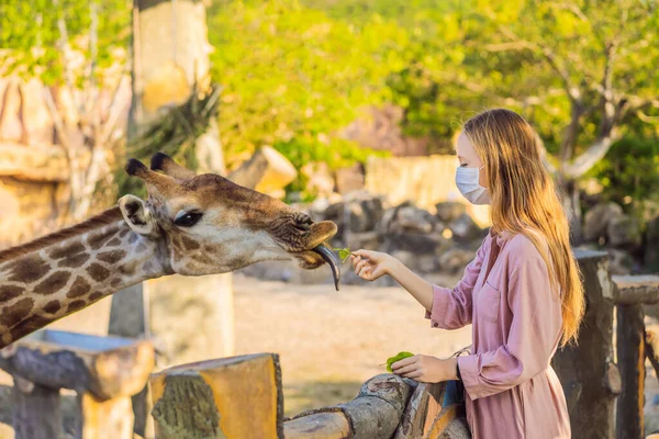 Щаслива молода жінка дивиться і годує жирафа в зоопарку в медичній масці під час коронавірусу COVID-19. Щаслива молода жінка розважається з парком сафарі тварин у теплий літній день — стокове фото
