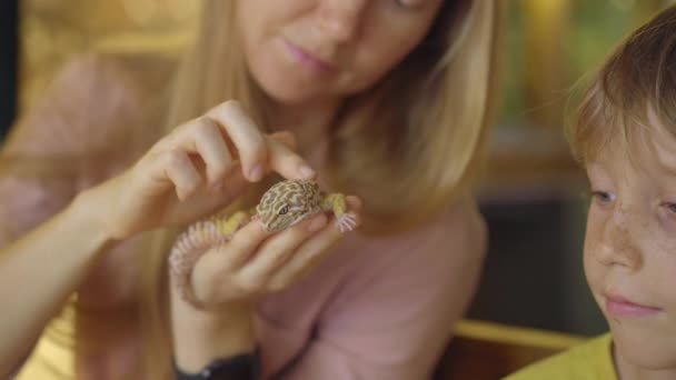 Eine Frau und ihr kleiner Sohn besuchen ein Café mit exotischen Tieren. Cafe, wo man mit Tieren in Kontakt kommen kann. Sie berühren eine Eidechse — Stockvideo