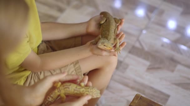 Una mujer y su pequeño hijo visitan un café con animales exóticos. Café donde se puede contactar con animales. Tocan un lagarto — Vídeo de stock