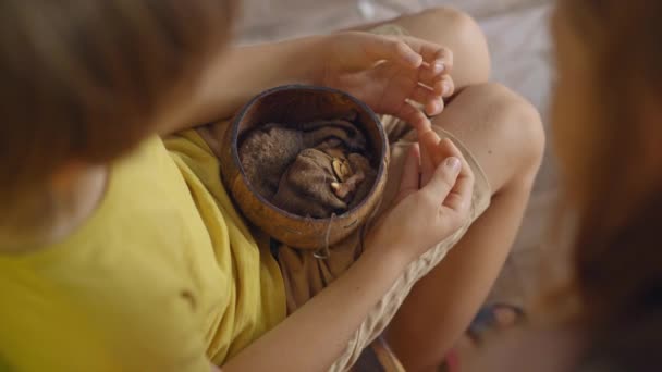 Uma mulher e o seu filho visitam um café com animais. Café onde você pode contatar animais. Um menino segura um ninho com dois esquilos voadores sonolentos — Vídeo de Stock