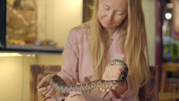 Eine Frau besucht ein Café mit exotischen Tieren. Cafe, wo man mit Tieren in Kontakt kommen kann. Sie berührt eine Schlange — Stockvideo