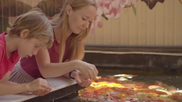 Mulher e seu filho em um café alimentam peixes koi — Vídeo de Stock