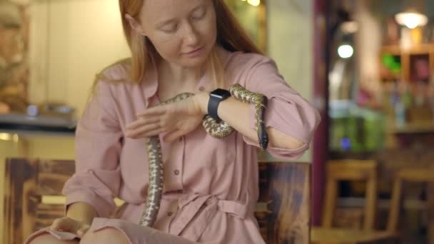Une femme visite un café avec des animaux exotiques. Café où vous pouvez entrer en contact avec les animaux. Elle touche un serpent — Video