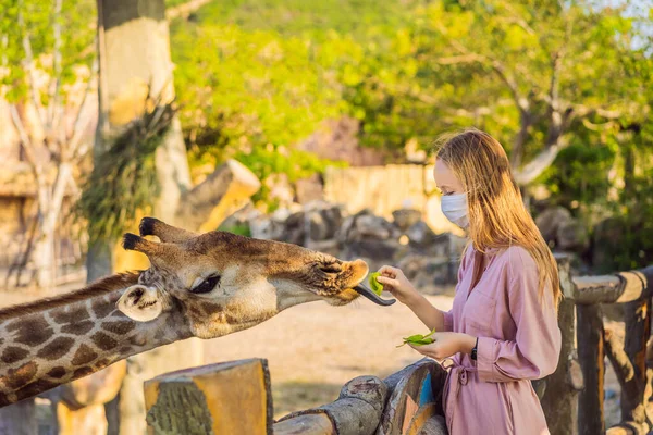 Hayvanat bahçesinde zürafayı seyreden ve besleyen mutlu genç bir kadın COVID-19 Coronavirus sırasında maske takıyor. Mutlu genç bir kadın sıcak yaz gününde hayvanlarla safari parkında eğleniyor. — Stok fotoğraf