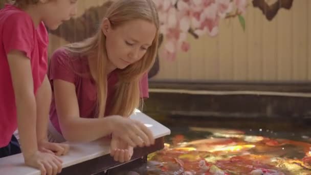 Femme et son petit fils dans un café nourrir les poissons koï — Video