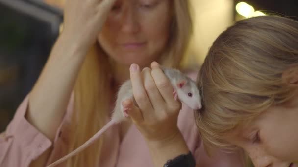 Una mujer y su pequeño hijo visitan un café con animales. Café donde se puede contactar con animales — Vídeos de Stock