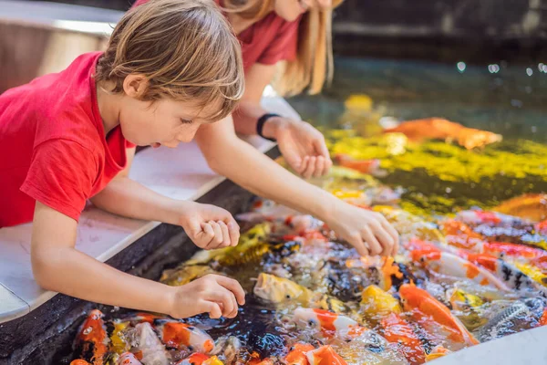 Mamá e hijo alimentan a los peces koi. Hermoso pez koi nadando en el estanque — Foto de Stock