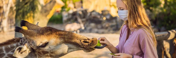 BANNER, LONG FORMAT Happy young woman watching and feeding giraffe in the zoo wearing a medical mask during COVID-19 coronavirus. Счастливая молодая женщина развлекается с животными в парке Сафари в теплый летний день — стоковое фото