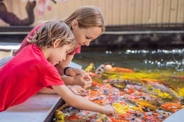 Mom and son feed koi fish. Beautiful koi fish swimming in the pond — Stock Photo, Image