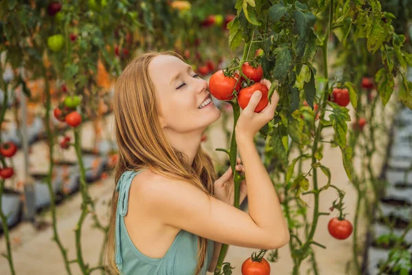 Close up de mulher segurando tomates no ramo ao lado de seu rosto, pensando em comê-lo — Fotografia de Stock