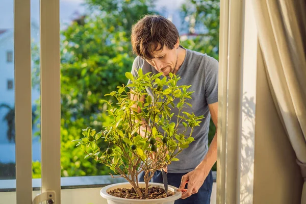 Hombre elegante guapo jardinería y riego en casa — Foto de Stock