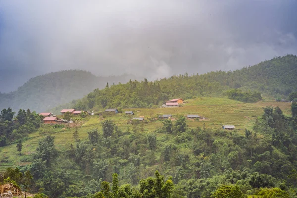 Terrasses de riz dans le brouillard à Sapa, Vietnam. Les rizières préparent la récolte au nord-ouest du Vietnam. Vietnam ouvre au tourisme après la quarantaine Coronovirus COVID 19 — Photo