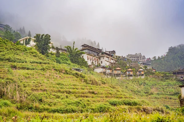 Terrazas de arroz en la niebla en Sapa, Vietnam. Los campos de arroz preparan la cosecha en el noroeste de Vietnam. Vietnam abre al turismo tras cuarentena Coronovirus COVID 19 —  Fotos de Stock