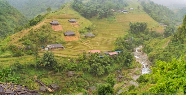 在越南萨帕的大雾中的稻田。越南西北部的稻田准备收获.越南在检疫验尸官病毒COVID 19后开放旅游 — 图库照片