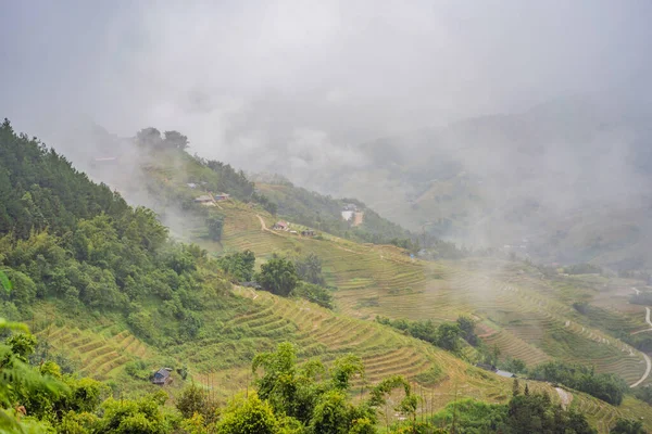 Terraços de arroz no nevoeiro em Sapa, Vietnã. Campos de arroz preparam a colheita no noroeste do Vietnã. Vietname abre para o turismo após quarentena Coronovirus COVID 19 — Fotografia de Stock