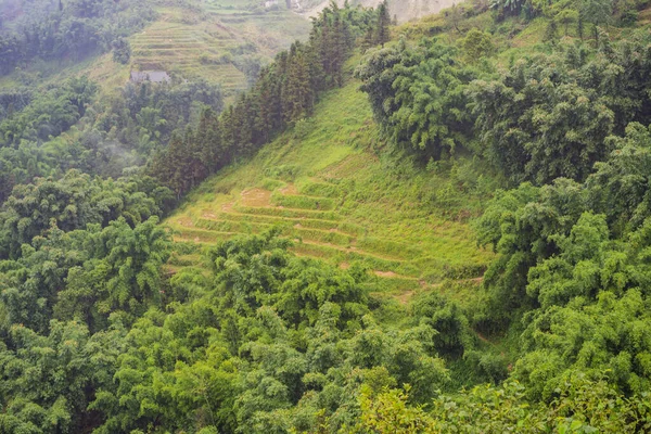 Rýžové terasy v mlze v Sapa, Vietnam. Rýžová pole připravují sklizeň v severozápadním Vietnamu. Vietnam se otevírá turistice po karanténě Coronovirus COVID 19 — Stock fotografie