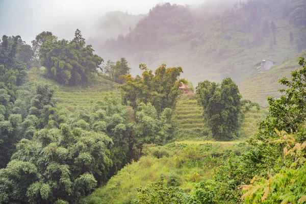 Paysage de Sapa dans le brouillard, Nord-Ouest du Vietnam. Vietnam ouvre au tourisme après la quarantaine Coronovirus COVID 19 — Photo