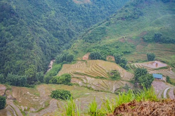Tarasy ryżowe we mgle w Sapa, Wietnam. Pola ryżowe przygotowują zbiory w północno-zachodnim Wietnamie. Wietnam otwiera się dla turystyki po kwarantannie Coronovirus COVID 19 — Zdjęcie stockowe