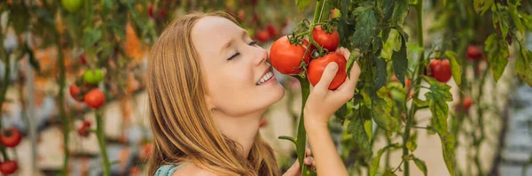 Yüzünün yanındaki dalda domatesleri tutan kadına yakın plan, BANNER, BANNER, YEMEK — Stok fotoğraf