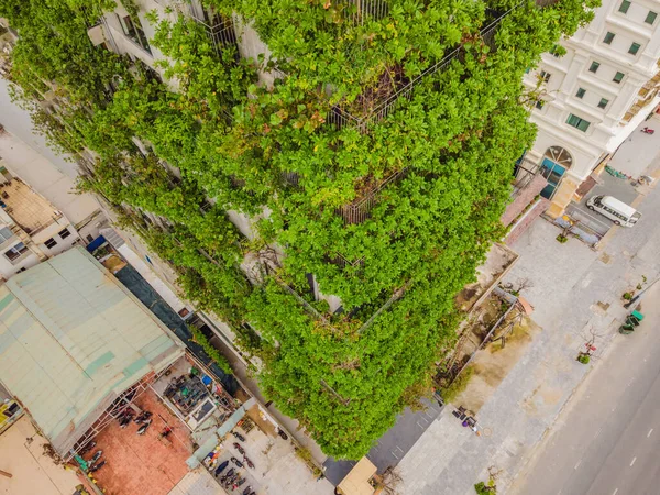 エコ建築。ファサードの水耕栽培植物と緑のカフェ。生態系と緑の都市、都市環境の概念に住んでいる。近代的な建物覆われた緑の植物 — ストック写真