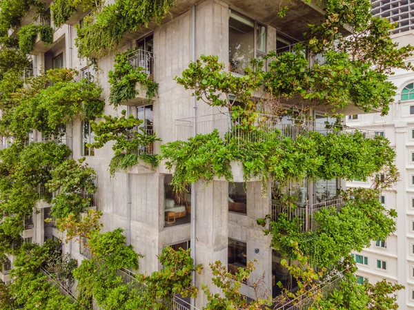 Eco architecture. Green cafe with hydroponic plants on the facade. Ecology and green living in city, urban environment concept. Modern building covered green plant — Stock Photo, Image