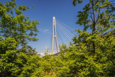 Rus adasına giden kablo destekli köprü. Vladivostok. - Rusya. Vladivostok, Rusya 'nın Pasifik kıyısındaki en büyük limanı ve APEC Forum' un merkezidir.