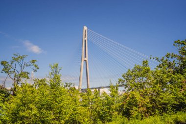 Rus adasına giden kablo destekli köprü. Vladivostok. - Rusya. Vladivostok, Rusya 'nın Pasifik kıyısındaki en büyük limanı ve APEC Forum' un merkezidir.