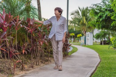 Yaşlı bir kadın parkta yürüyor, temiz havanın, güneş ışığının ve huzurlu doğanın tadını çıkarıyor. Aktif yaşlanma, sağlık, sağlıklı yaşam tarzı, pozitif yaşlanma, hareketlilik, özgürlük ve açık havada rahatlama kavramı