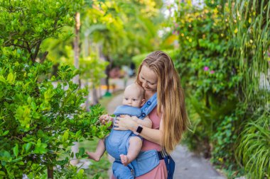 Bir anne, ergonomik bir bebek taşıyıcısı ile bebeğini vücuduna yakın bir şekilde dışarı çıkar. Bebek giyimi, aktif ebeveynlik, rahatlık, bağlılık, hareketlilik ve modern aile yaşam tarzı kavramı