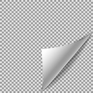 Sayfa etiketini çevirin. Sayfa Aç vektör çizimi. Tasarımınız için Sayfa Aç.. Sayfa Turn - gerçekçi sayfa. Sayfa Aç belge şablonu. Sayfa Aç düzen etiketi. Sayfa Saydam arka planı açma.