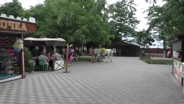 La gente está liderando caballos a través de un parque en el día nublado de verano — Vídeo de stock