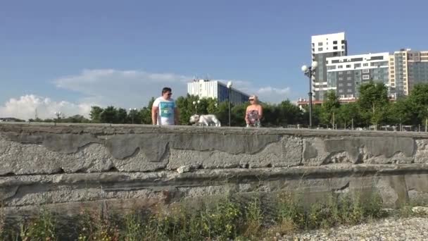 La gente está paseando a un perro blanco en un día soleado en verano — Vídeos de Stock
