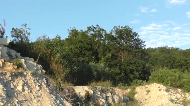 Viento sopla sobre verde grueso Bush sobre roca — Vídeos de Stock