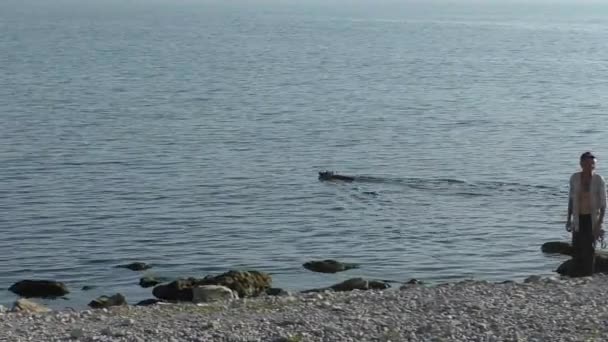 L'uomo sta portando a spasso un cane sulla spiaggia, il cane sta facendo il bagno la sera — Video Stock