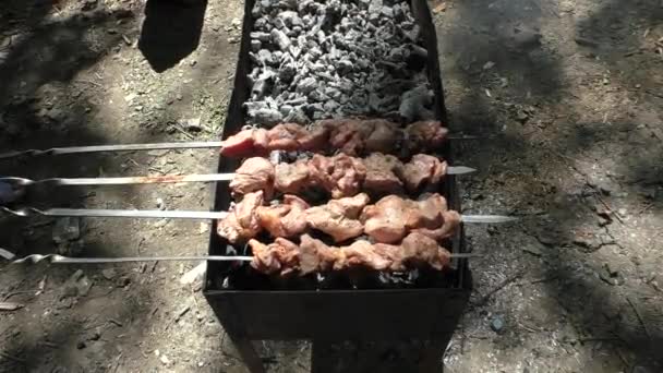 Pedaços de carne crua em espetos estão grelhando em Mangal — Vídeo de Stock