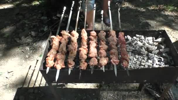 肉の部分と串が大きな黒いマンガル, — ストック動画