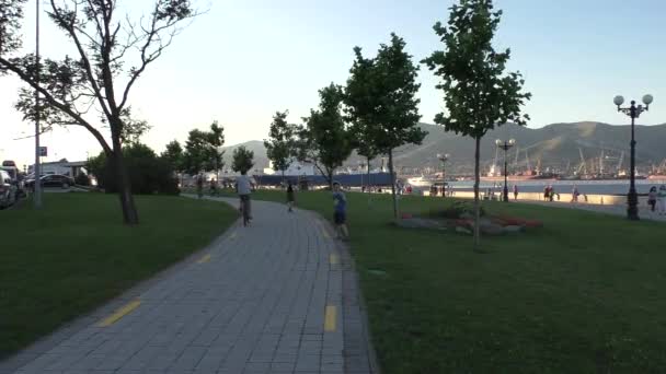阴影在阳光明媚的码头附近的单车道 — 图库视频影像