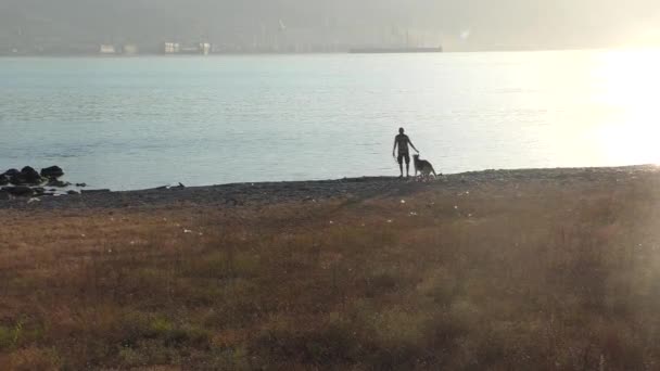 Sylwetka młodego człowieka, grając z duży pies, morze, góry, głazy są na tle Filmik Stockowy