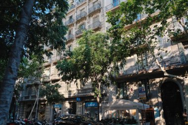 Detaylı taş işçiliği olan zarif tarihi binalar ve açık mavi gökyüzüne karşı güneş ışığıyla yıkanmış dekoratif bir kule. Düşük bir açıdan yakalanan bu resim klasik Avrupa mimarisini vurgular