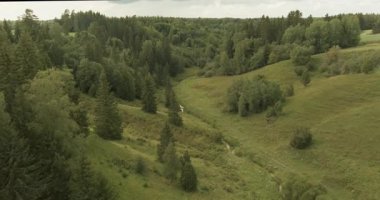 Hava manzaralı Hantala depresyonları (Natura 2000 bölgesi), bulutlu yaz havası, Somero, Lohja, Finlandiya 'da çok dallı nehir vadisi Rekijoki' nin ana sularında bulunan geleneksel bir biyop alanıdır..